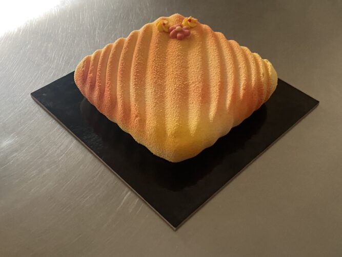 torta moderna albicocca pop