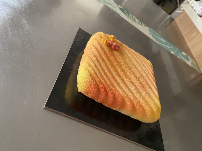 torta moderna albicocca pop