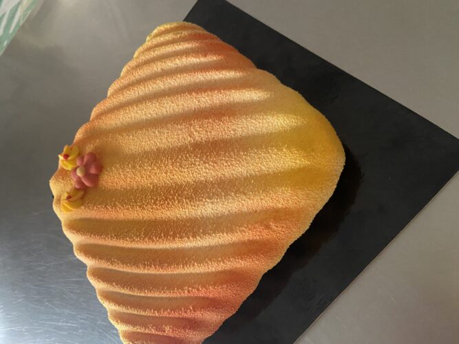 torta moderna albicocca pop