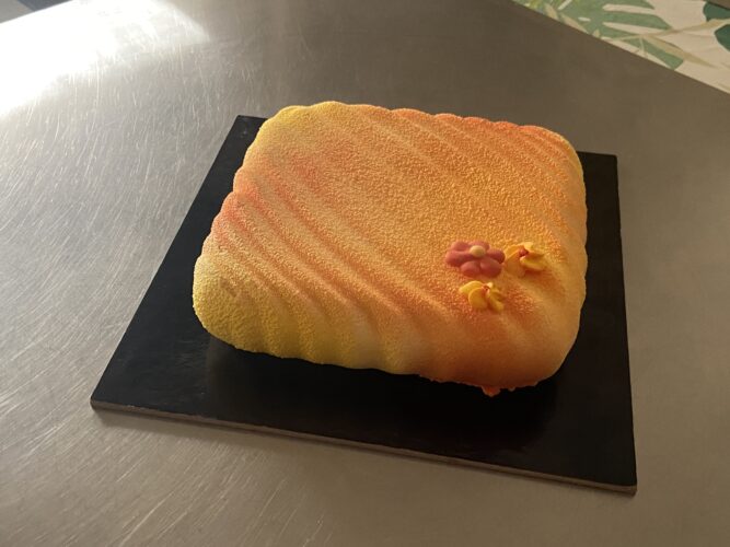 torta moderna albicocca pop