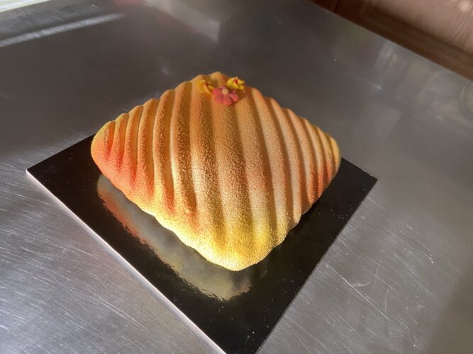 torta moderna albicocca pop