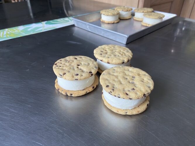 biscotti gelato cookie snack