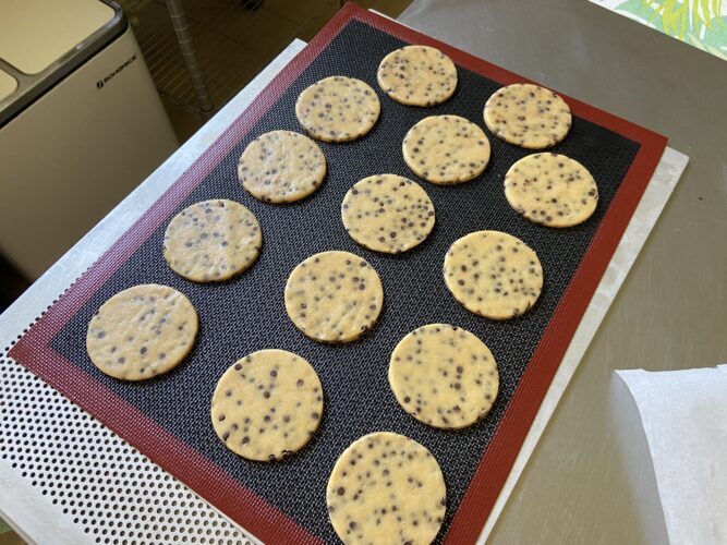 biscotti gelato cookie snack