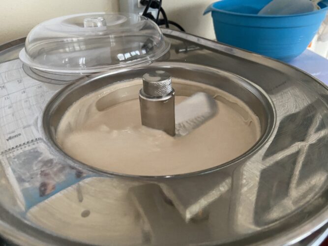 happy hippo gelato