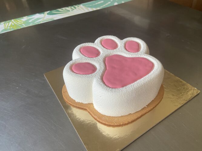 torta moderna qua la zampa