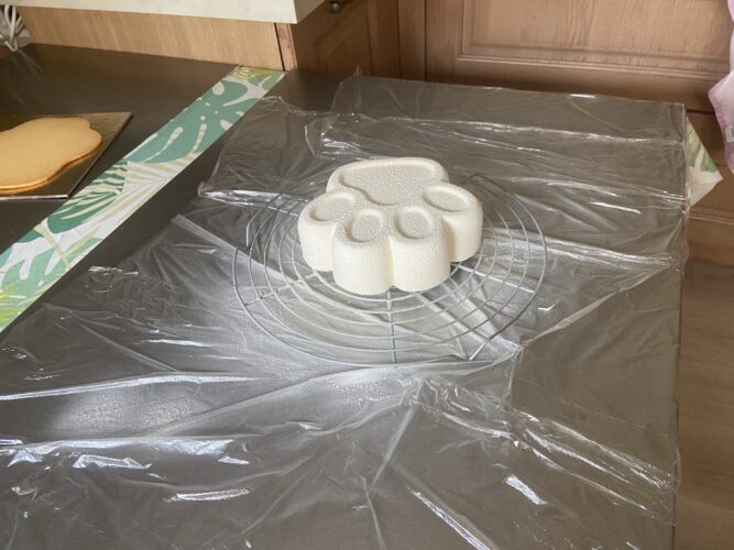 torta moderna qua la zampa