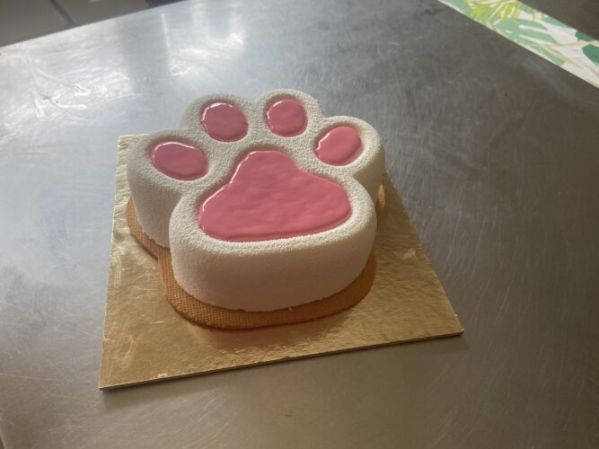 torta moderna qua la zampa