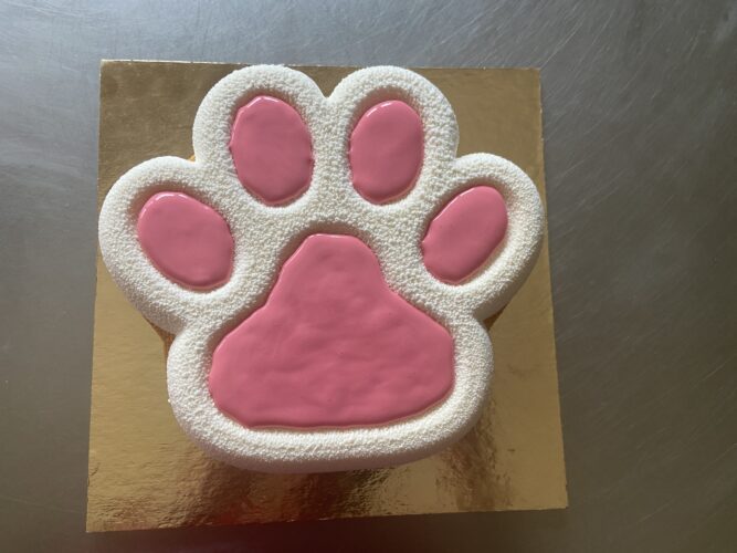 torta moderna qua la zampa