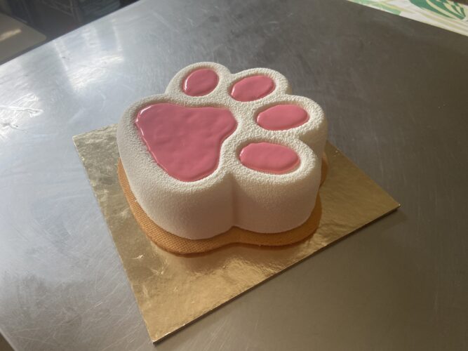 torta moderna qua la zampa