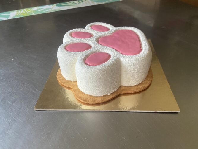 torta moderna qua la zampa