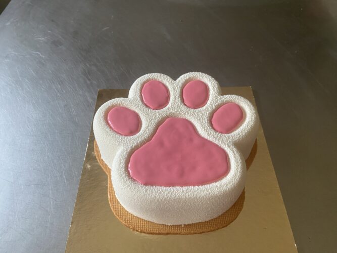 torta moderna qua la zampa