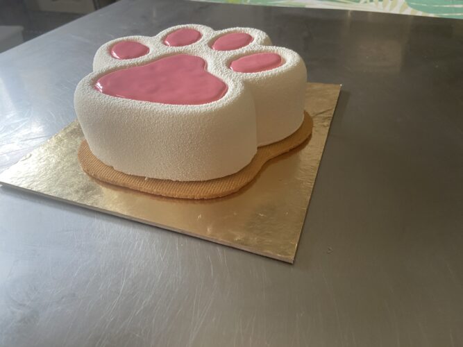 torta moderna qua la zampa