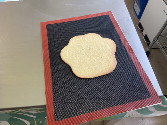 torta moderna qua la zampa