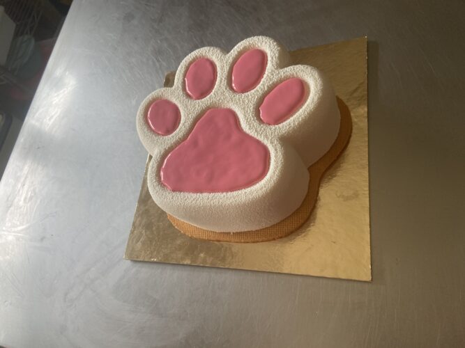 torta moderna qua la zampa
