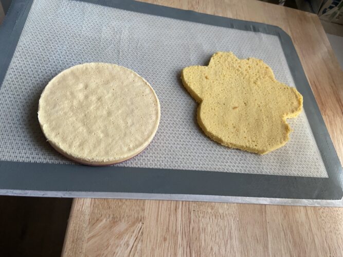 torta moderna qua la zampa