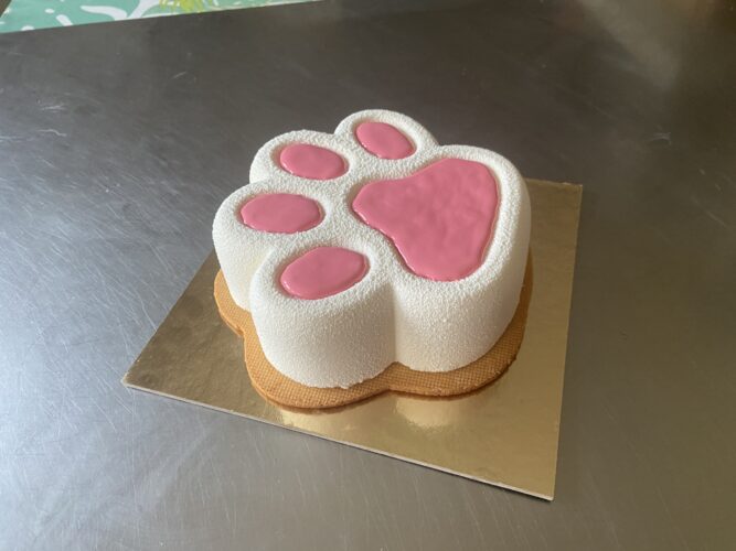 torta moderna qua la zampa
