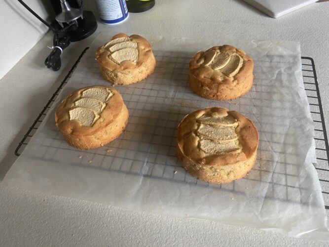 tortine mele vegane