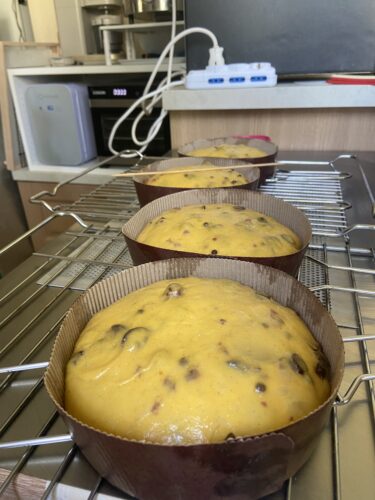 panettone pina colada amarena lampone