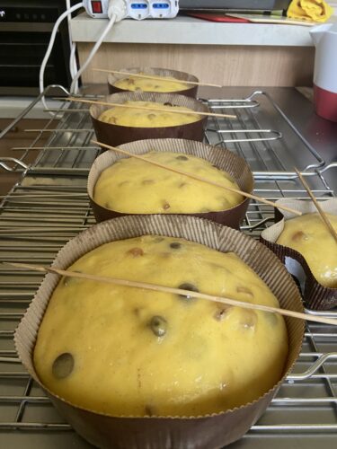 panettone senza lattosio