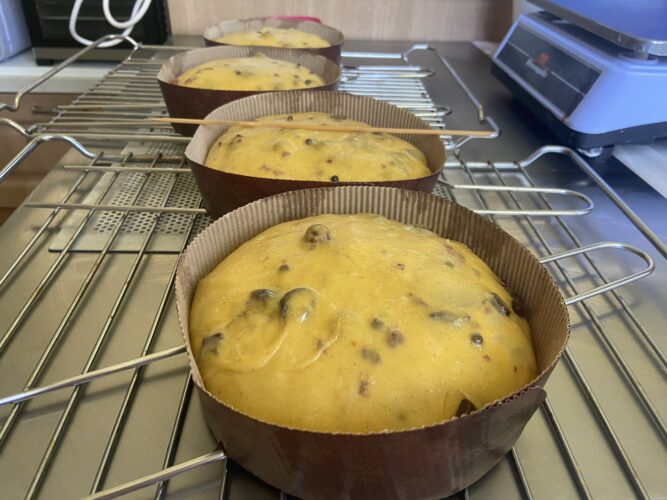 panettone pina colada amarena lampone