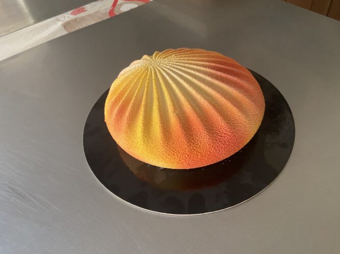 exotic shell torta moderna