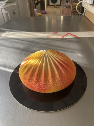 exotic shell torta moderna