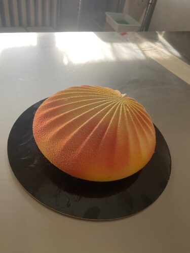 exotic shell torta moderna
