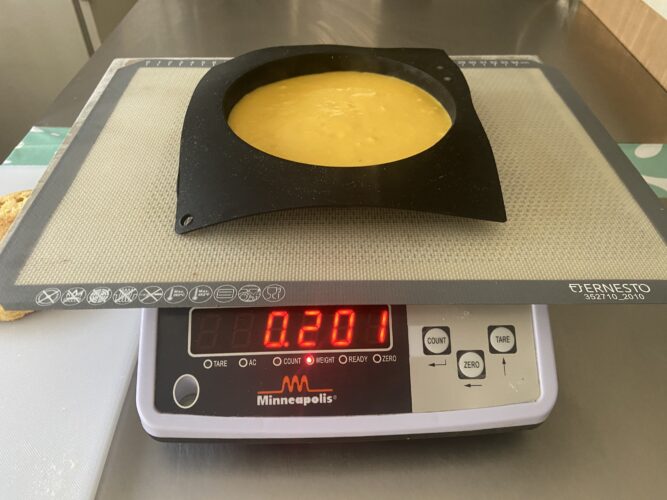 exotic shell torta moderna