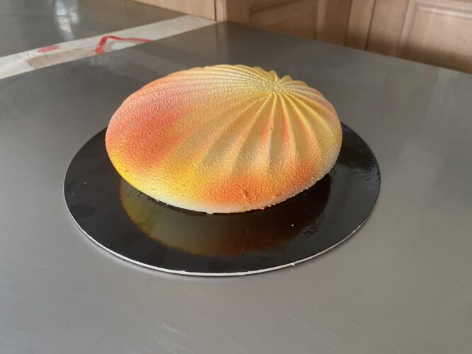 exotic shell torta moderna