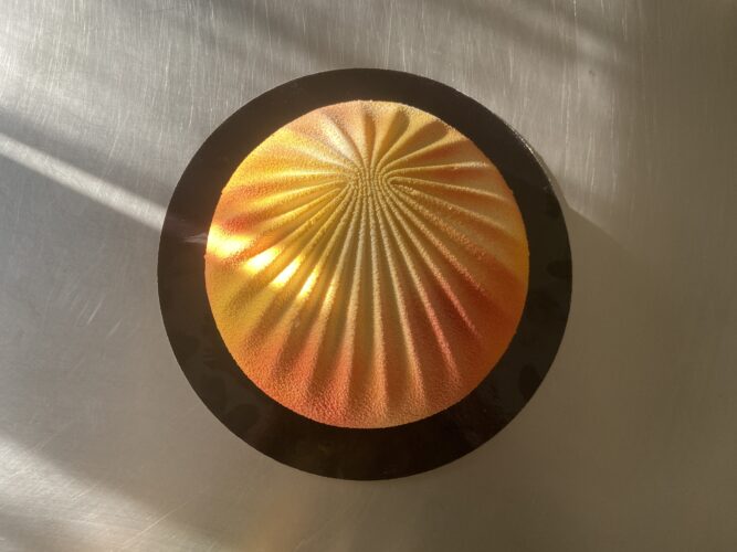 exotic shell torta moderna