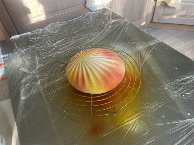 exotic shell torta moderna