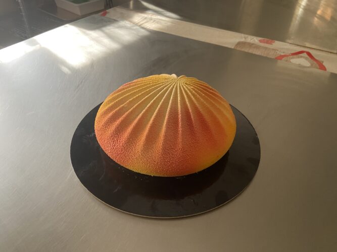 exotic shell torta moderna