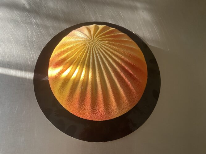 exotic shell torta moderna