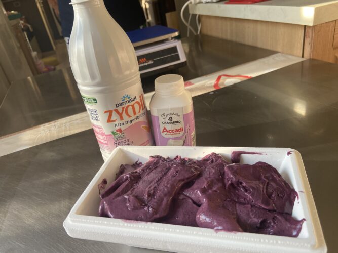gelato ai mirtilli senza lattosio