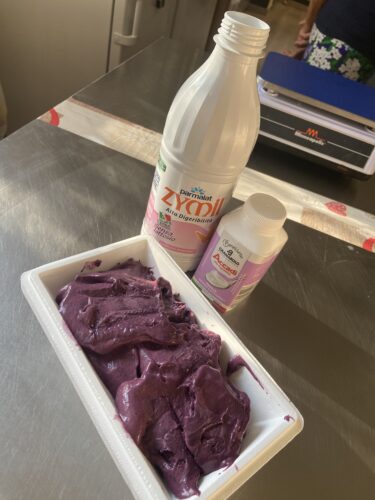 gelato ai mirtilli senza lattosio
