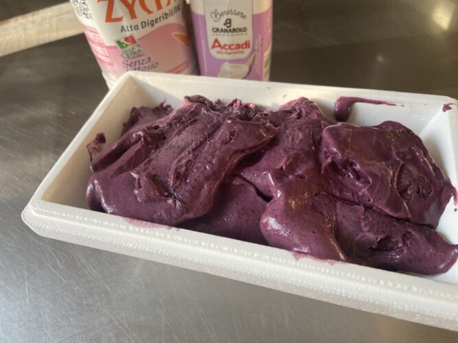 gelato ai mirtilli senza lattosio
