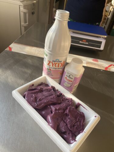 gelato ai mirtilli senza lattosio