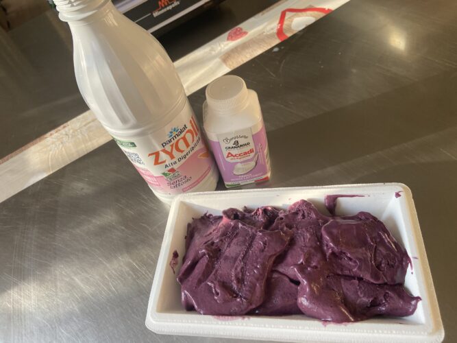 gelato ai mirtilli senza lattosio