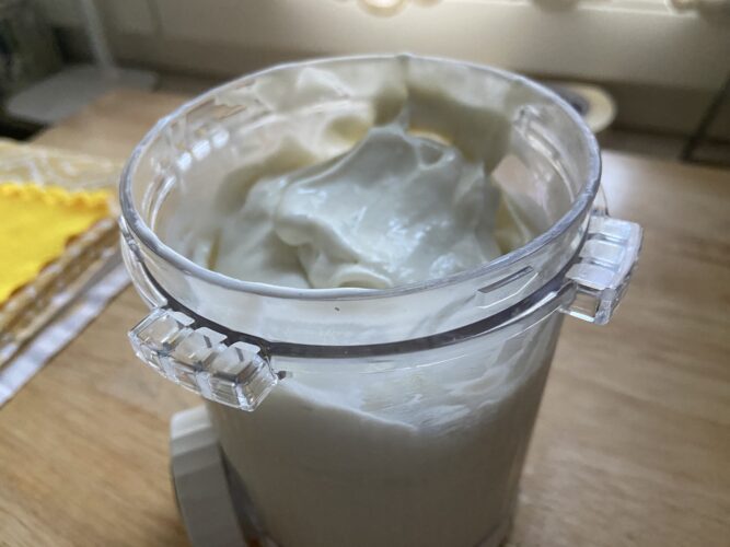 gelato skyr vaniglia ninja