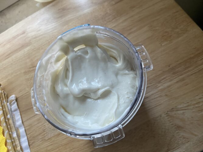 gelato skyr vaniglia ninja