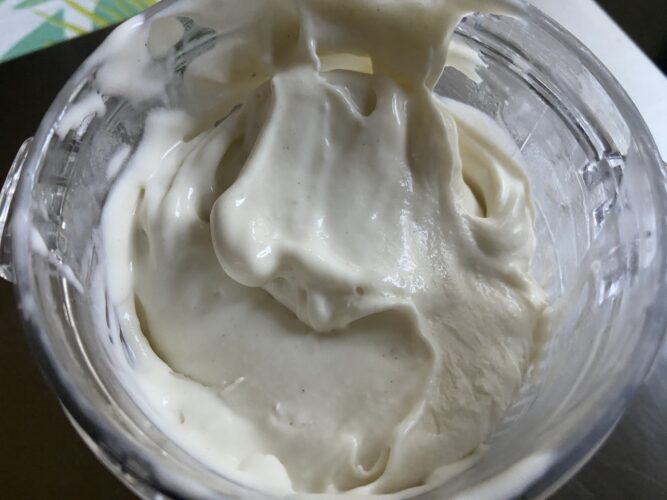gelato skyr vaniglia ninja