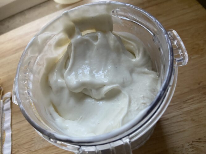 gelato skyr vaniglia ninja
