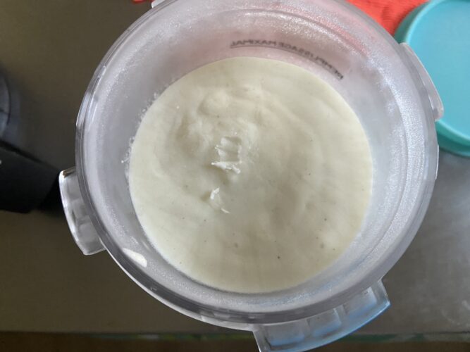 gelato skyr vaniglia ninja