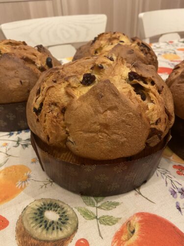 panettone lampone amarena pina colada