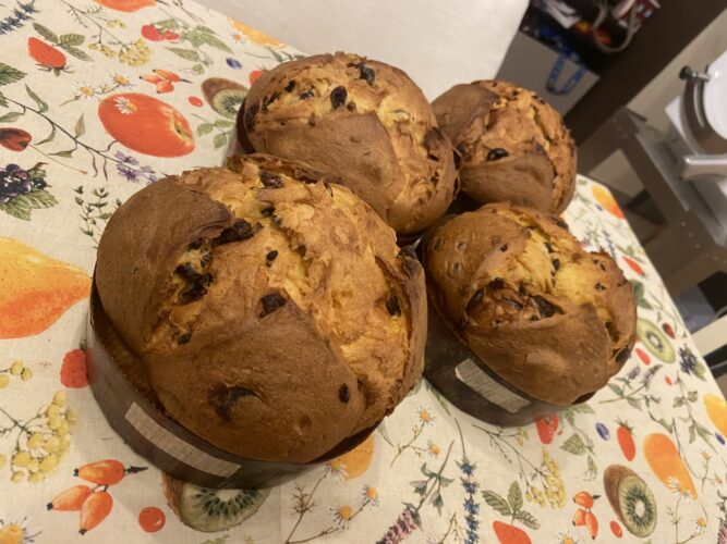 panettone lampone amarena pina colada
