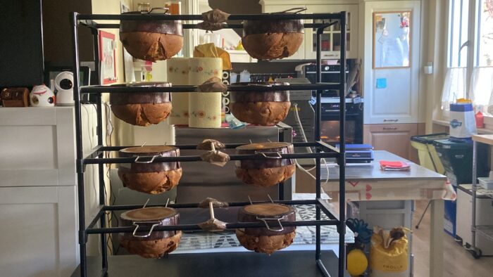 panettone lampone amarena pina colada