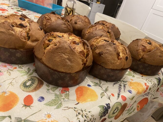 panettone test senza lattosio