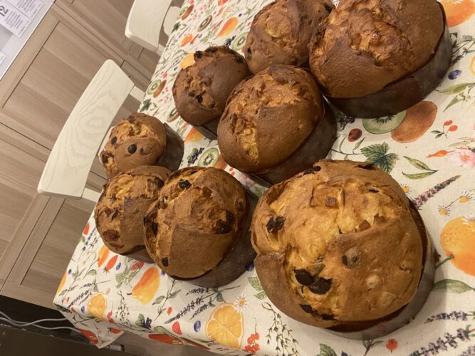 panettone test senza lattosio