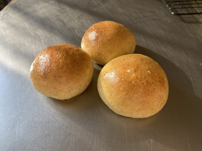 panini SL soffici veloci