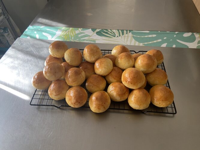 panini bocconcini